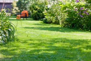 travaux jardin et paysage Orignolles